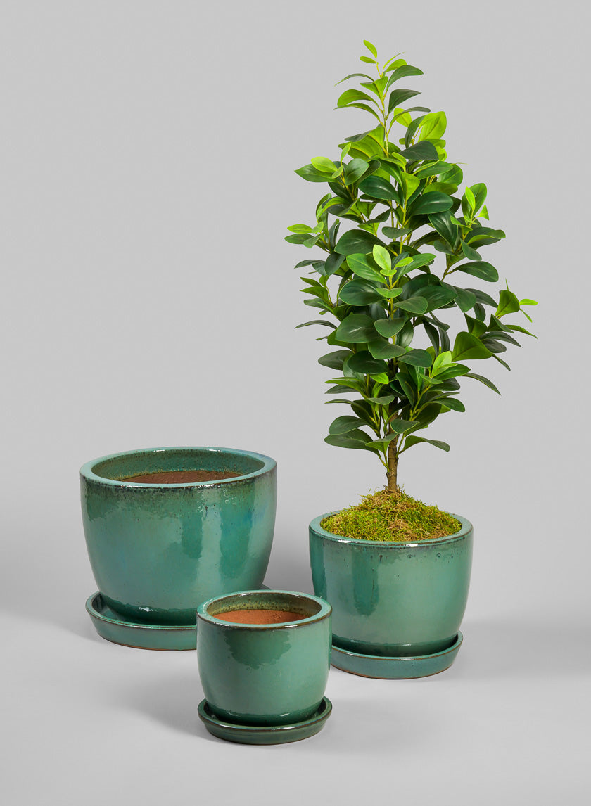 Ceramic Planters