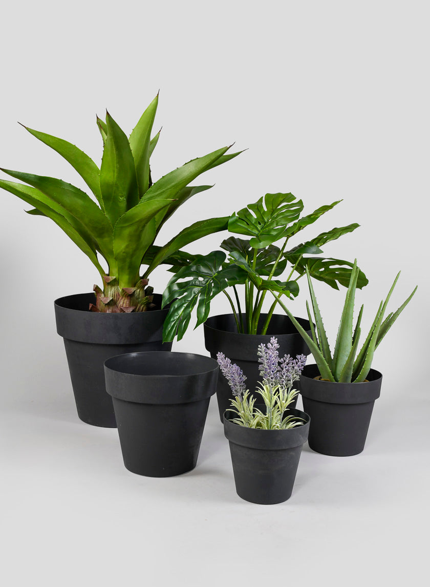 Plastic Planters