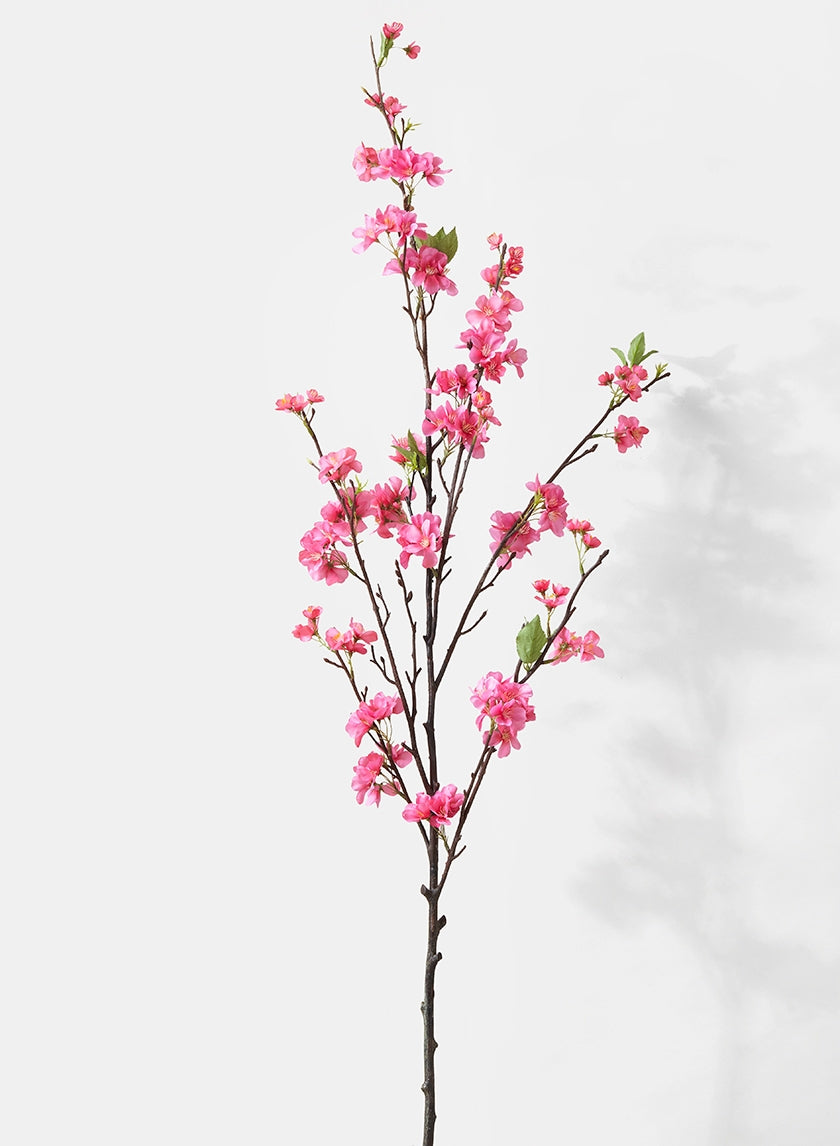 Cherry Blossoms & Branches