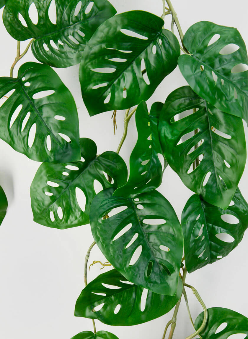 Leaves & Garlands