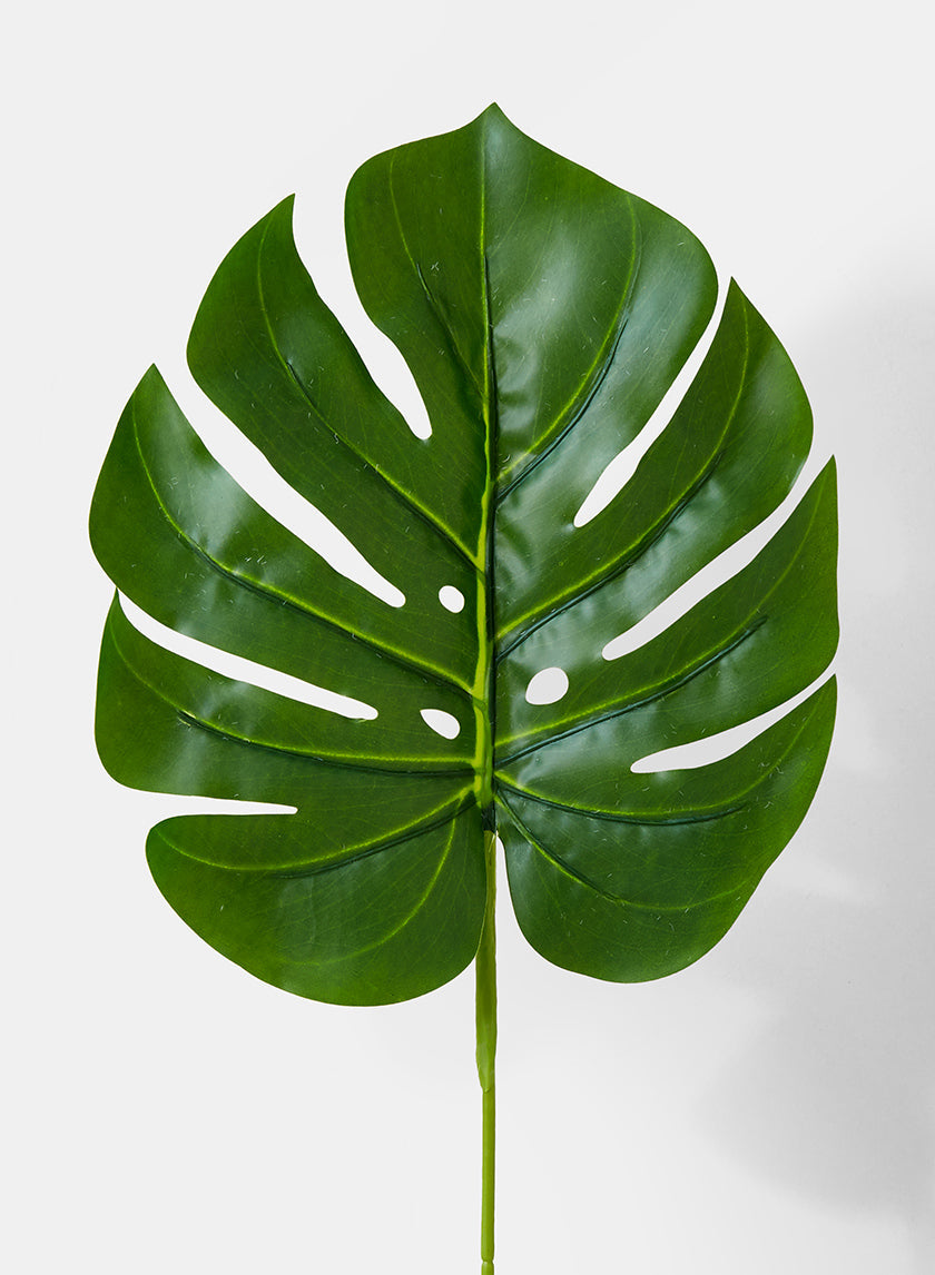 Tropicals