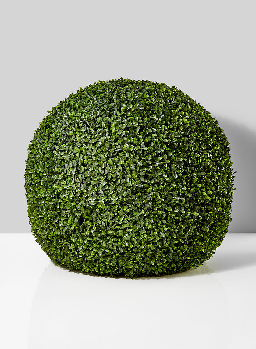 BOXWOOD
