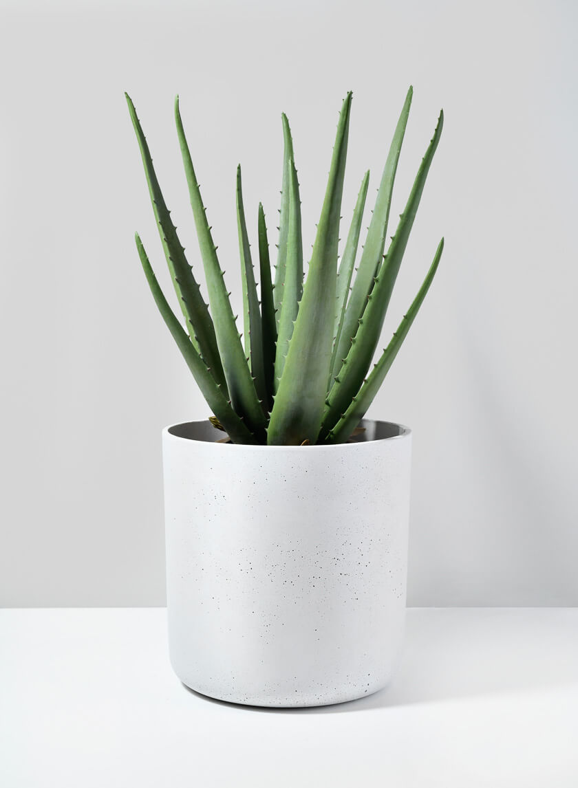 Indoor Planters