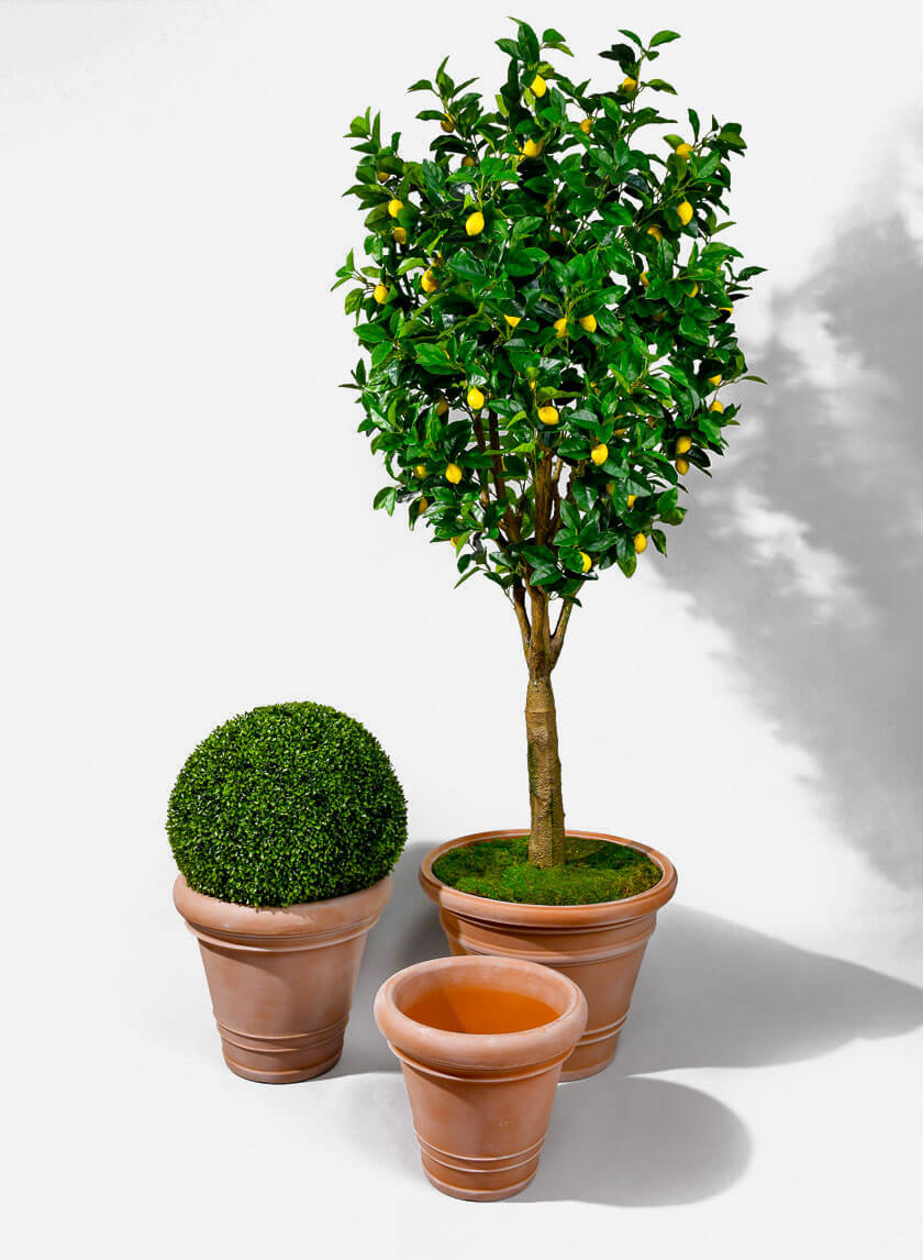 Outdoor Planters