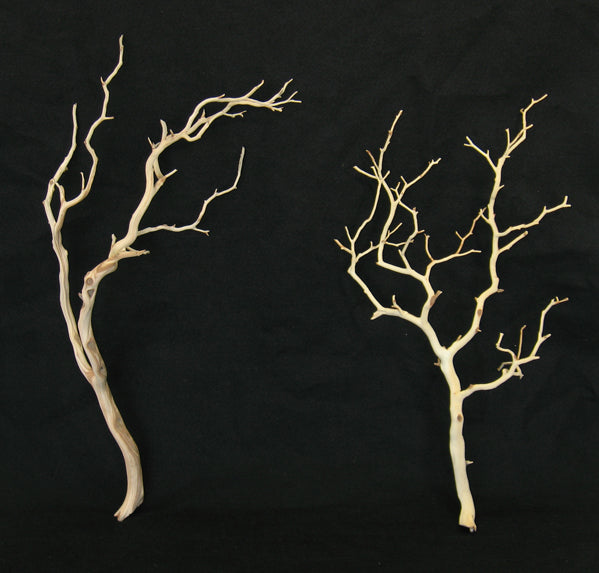 2ft &amp; 3ft Sanded Manzanita Branches Decor Jamali-garden