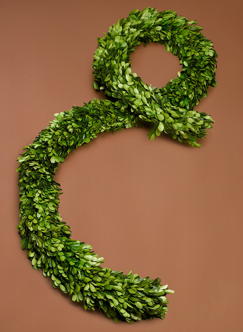 72in Long Preserved Boxwood Garland Decor Jamali-garden