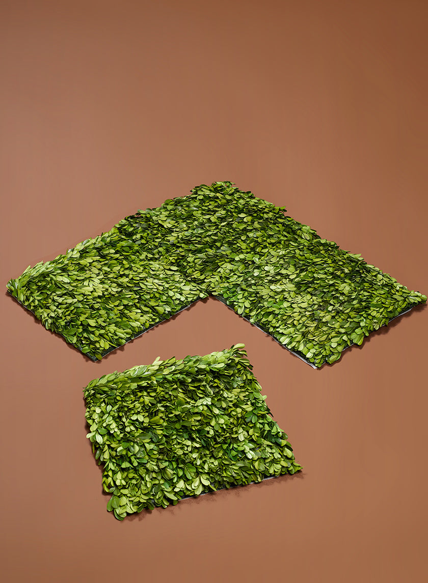 12in Square Preserved Boxwood Mat Decor Jamali-garden