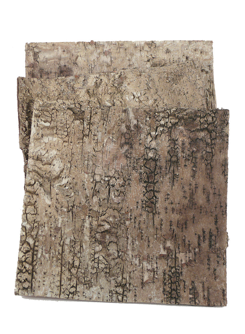 12in Square Birch Bark Decor Jamali-garden