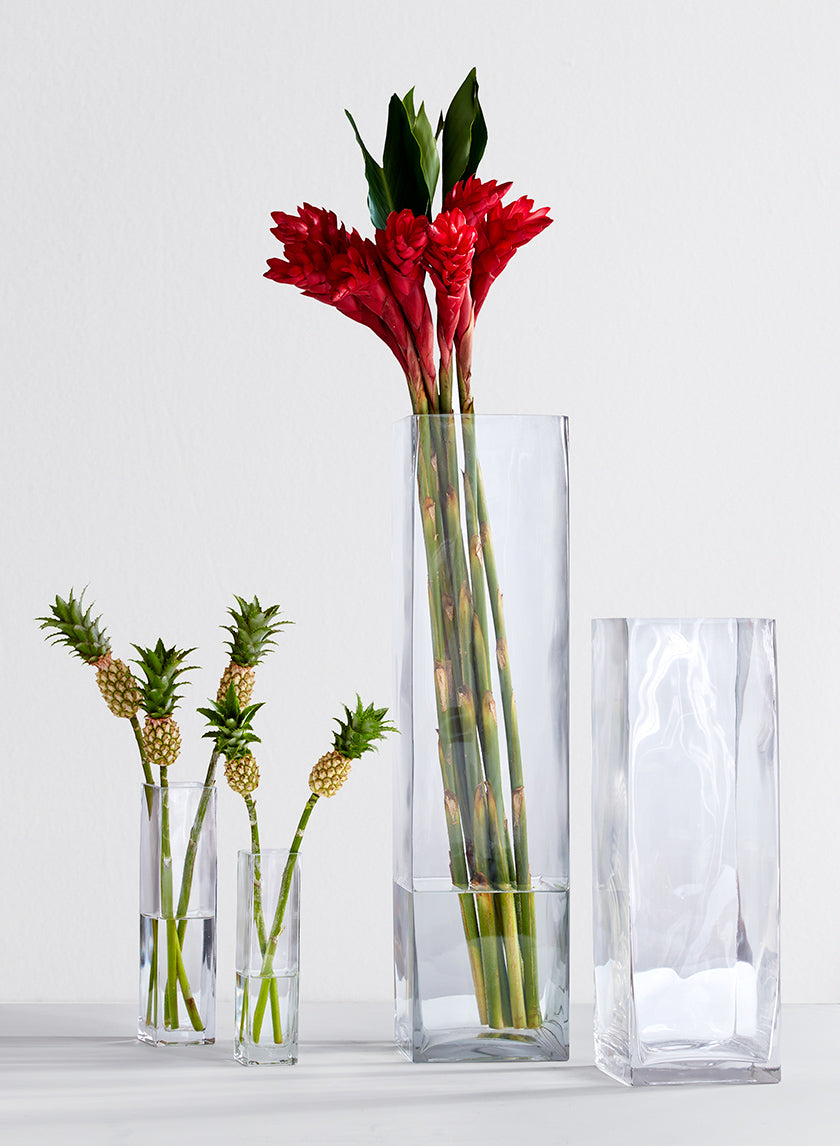 8in Tall Square Glass Bud Vase Decor Jamali-garden