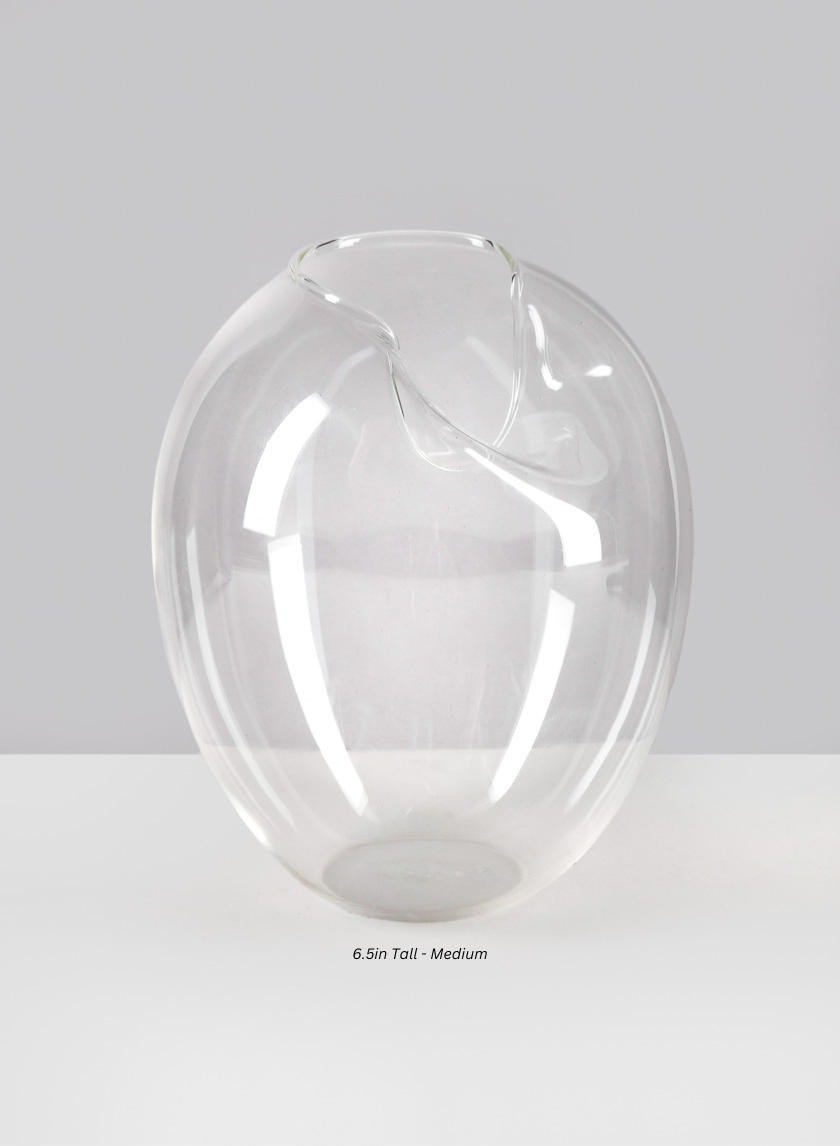 Imparfait Fishbowl Decor Jamali-garden Transparent 6.5in Tall - Medium EACH