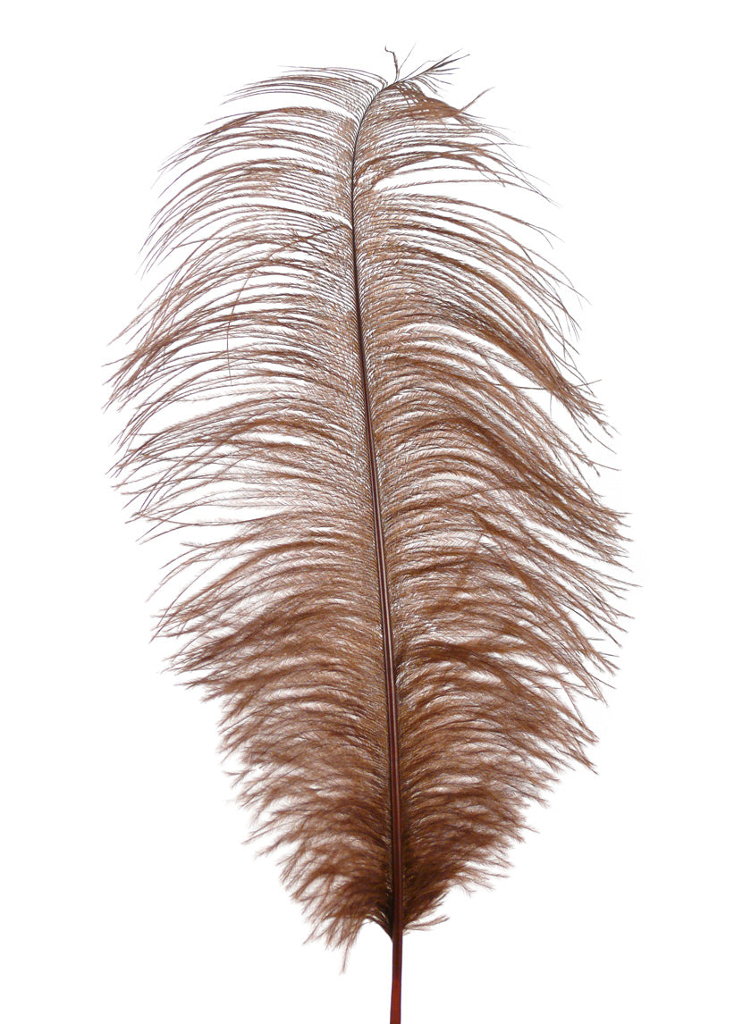 18 - 20in Brown Ostrich Feather Decor Jamali-garden
