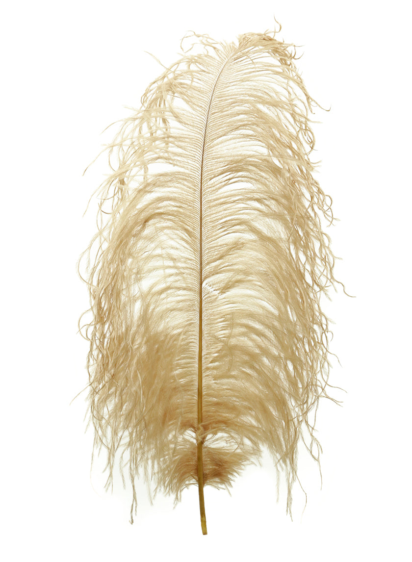 18 - 20in Tan Ostrich Feather Decor Jamali-garden