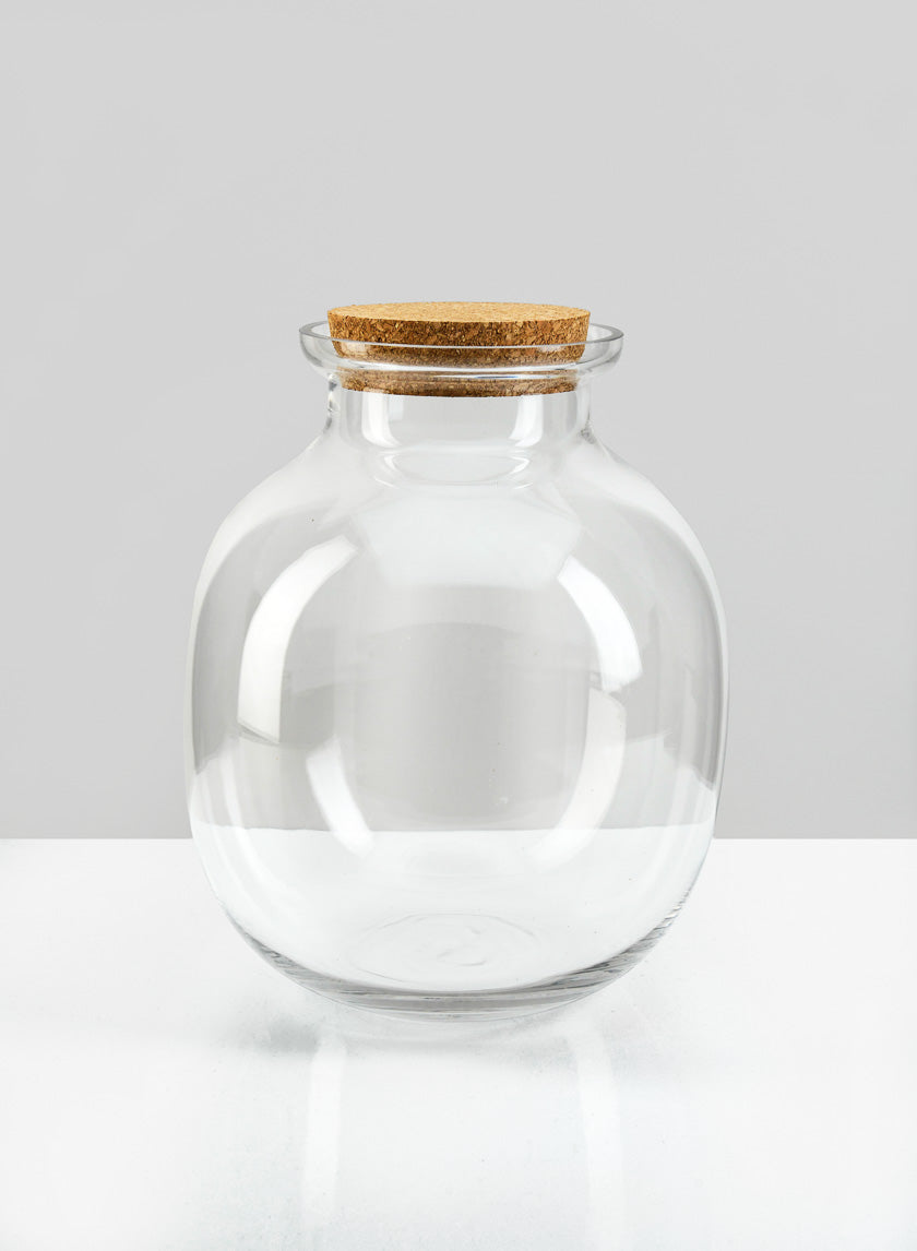 9.5in Tall Iguasu Jar Glass Terrarium with Cork Decor Jamali-garden