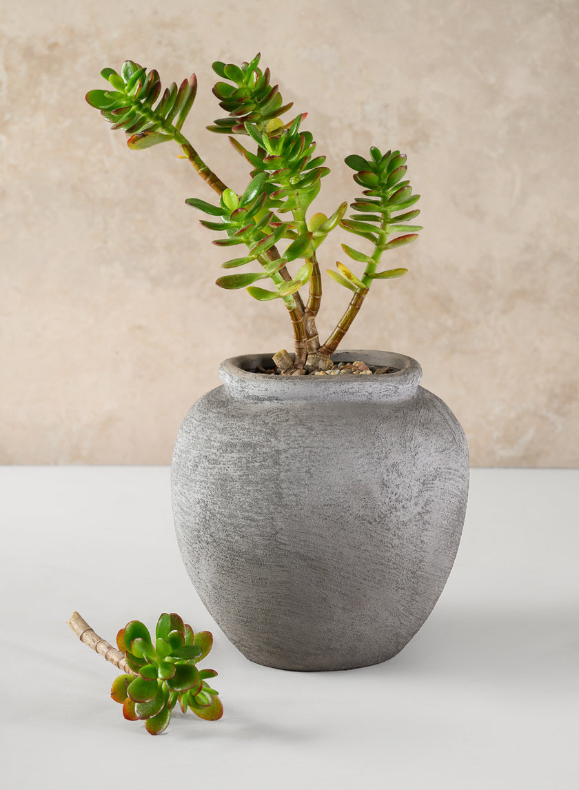 7in Tall Iquitos Venetian Grey Ceramic Jar Vase Decor Jamali-garden