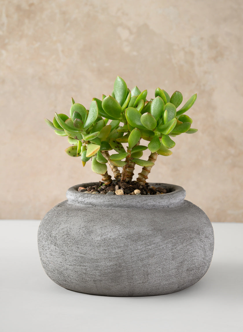 8in Wide Iquitos Venetian Grey Ceramic Bowl Decor Jamali-garden