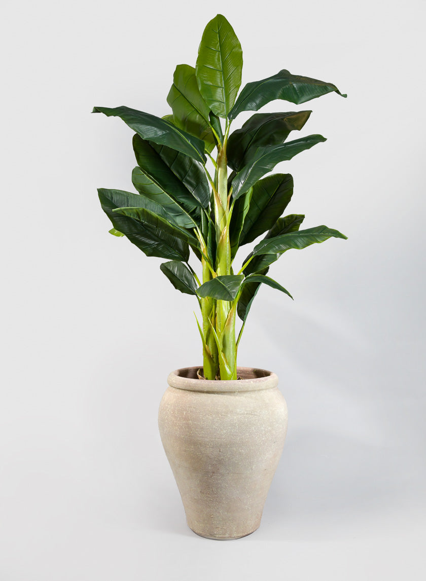 Tunisian Handmade Olpe Jar Planter Decor Jamali-garden 20in Tall EACH