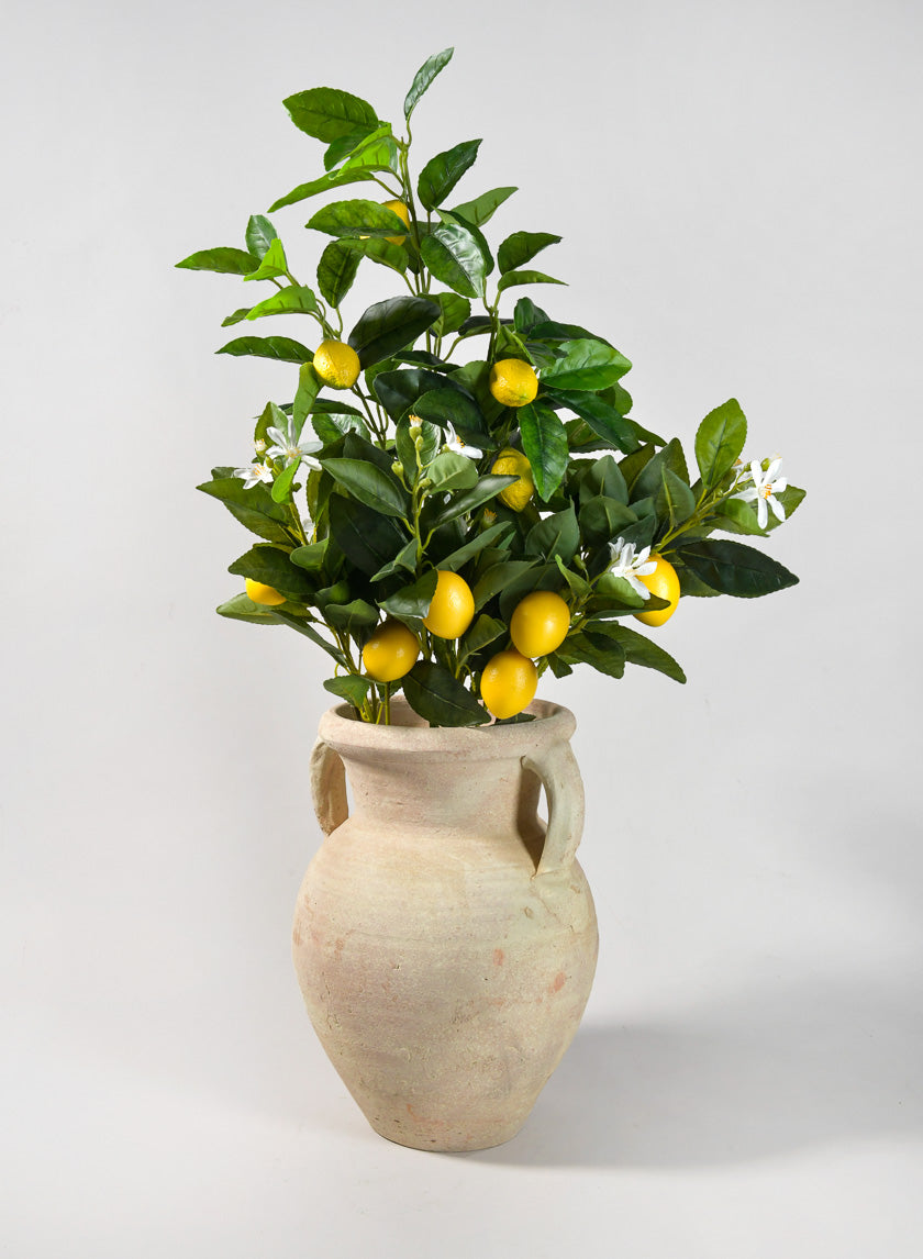 12.5in Tall Ethos Clay Jar with Handles Decor Jamali-garden