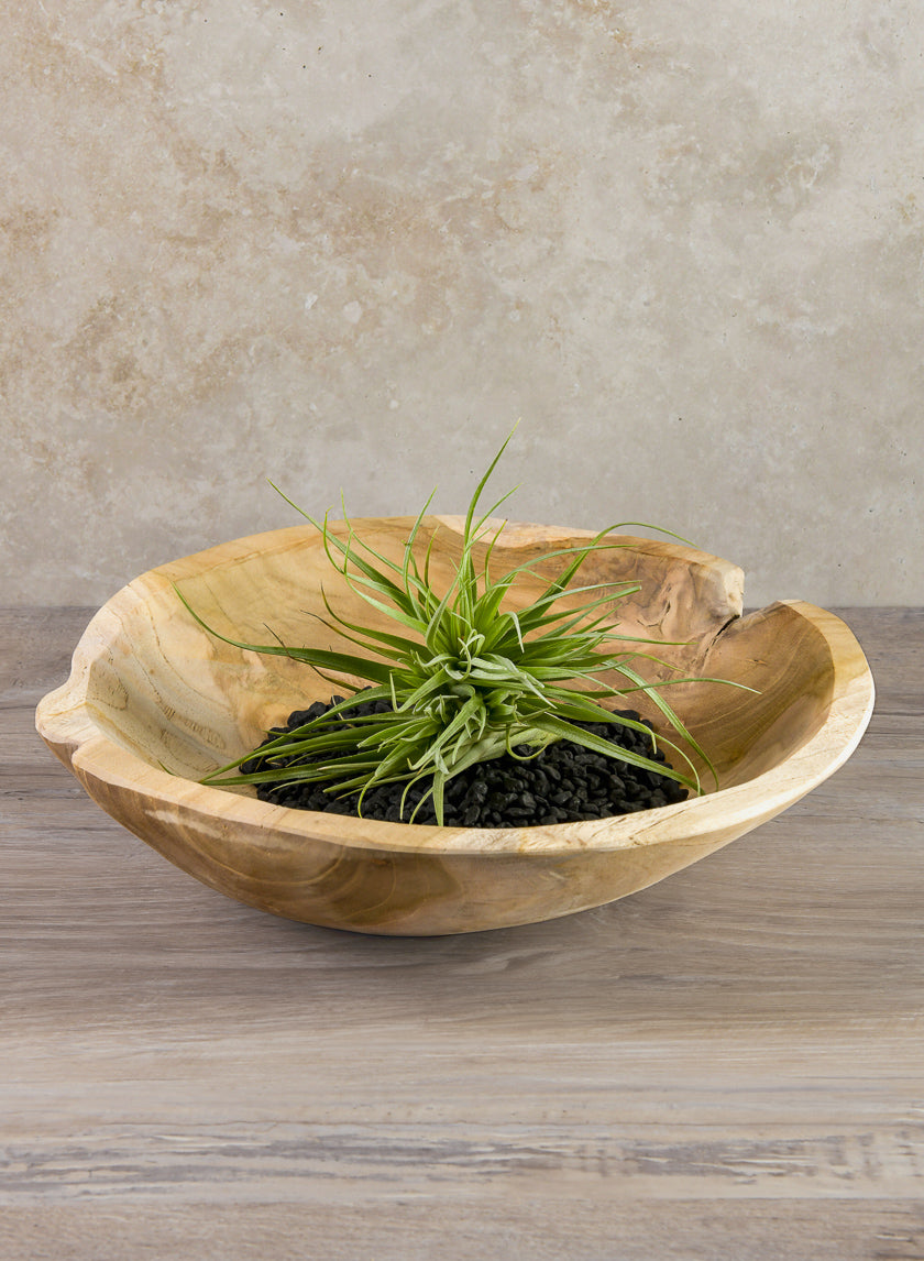 12in Wide Makassar Teak Dish Wood Bowl Decor Jamali-garden