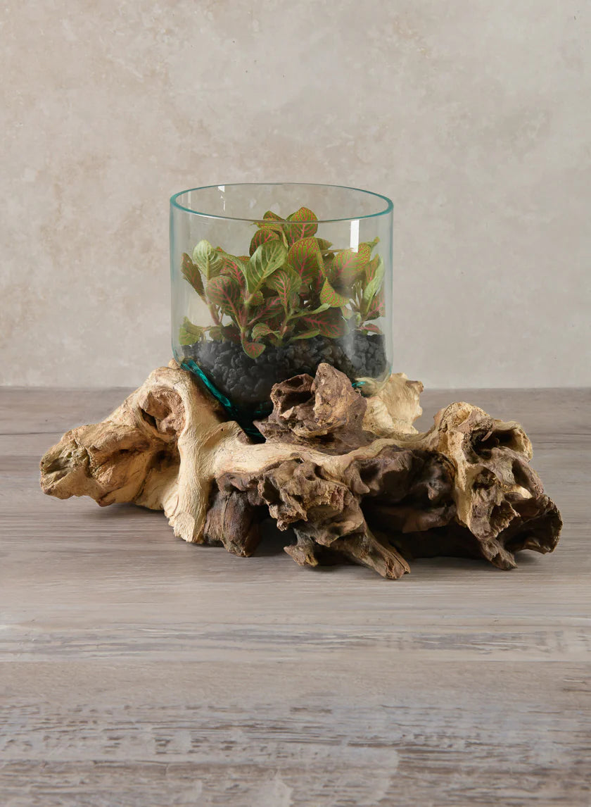 Jakarta Teak Stump With Glass Cylinder, Small Decor Jamali-garden