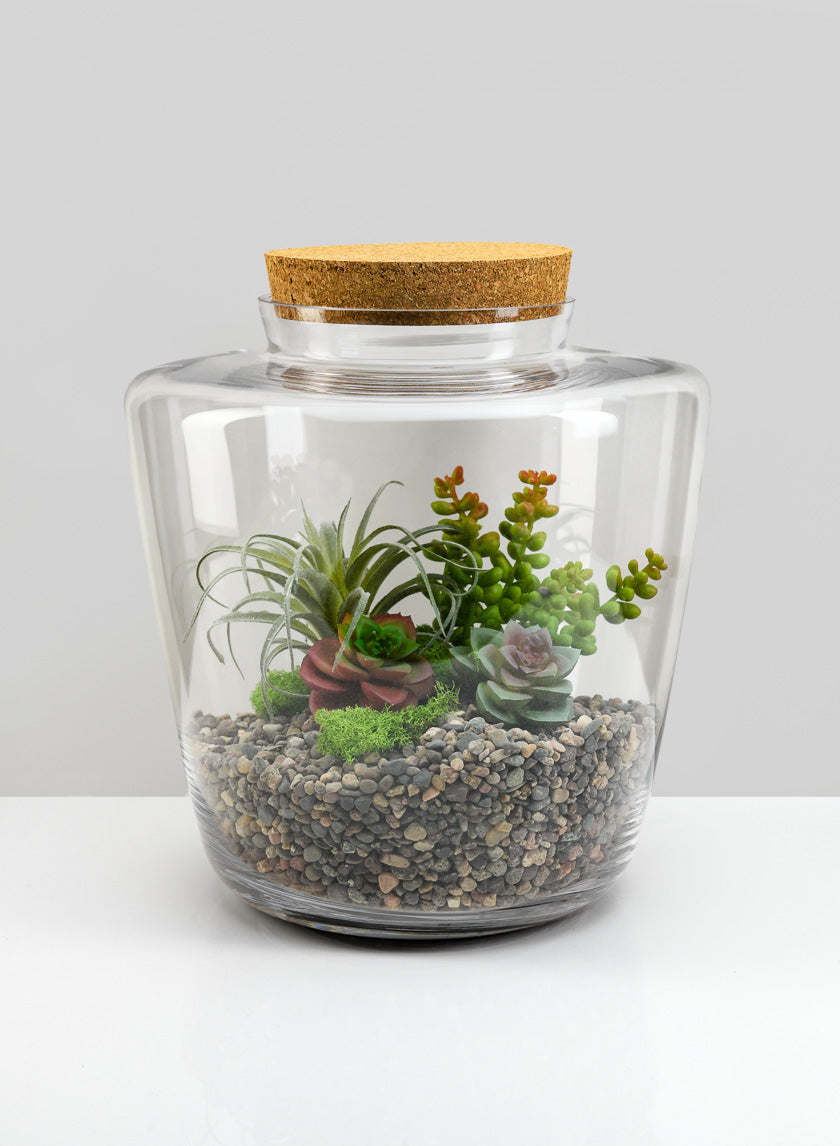 11in Tall Pantanal Glass Terrarium with Cork, Large Decor Jamali-garden