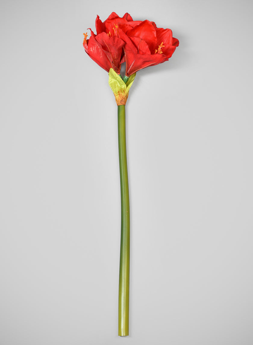 24in Real Touch Real Look  Amaryllis Stem Holiday Red