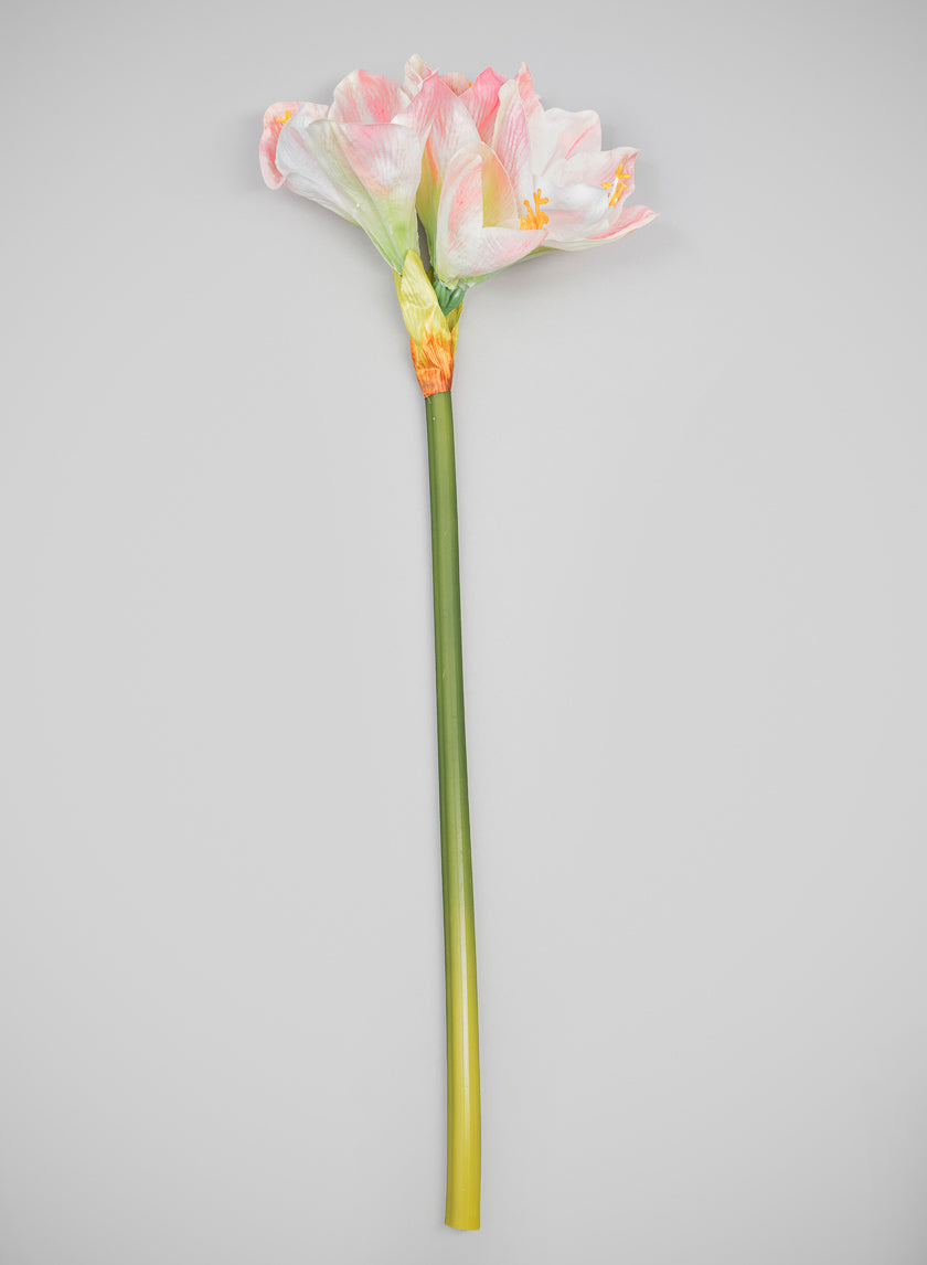 24in Real Touch Real Look Amaryllis Stem Blushing Pink