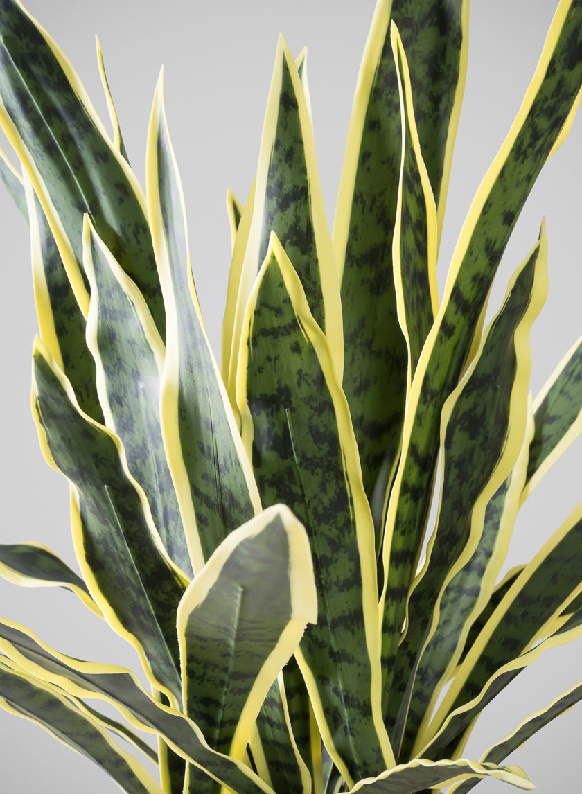 27in Tall Real Touch Real Look Snake Plant in Pot Decor Jamali-garden