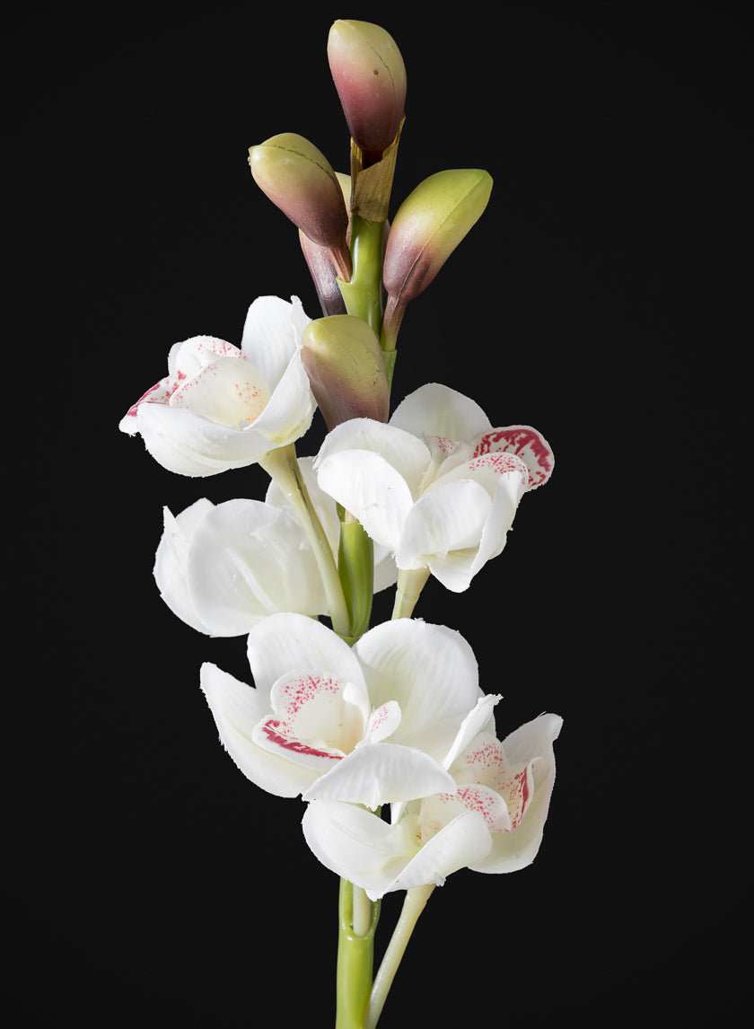 23in Long Real Touch Real Look Cymbidium Orchid Stem White