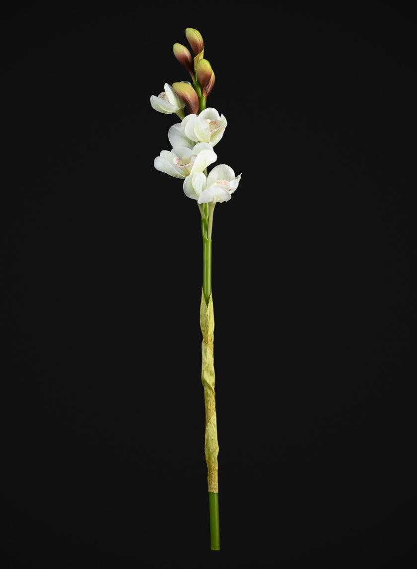 23in Real Touch Real Look Cymbidium Orchid Stem White