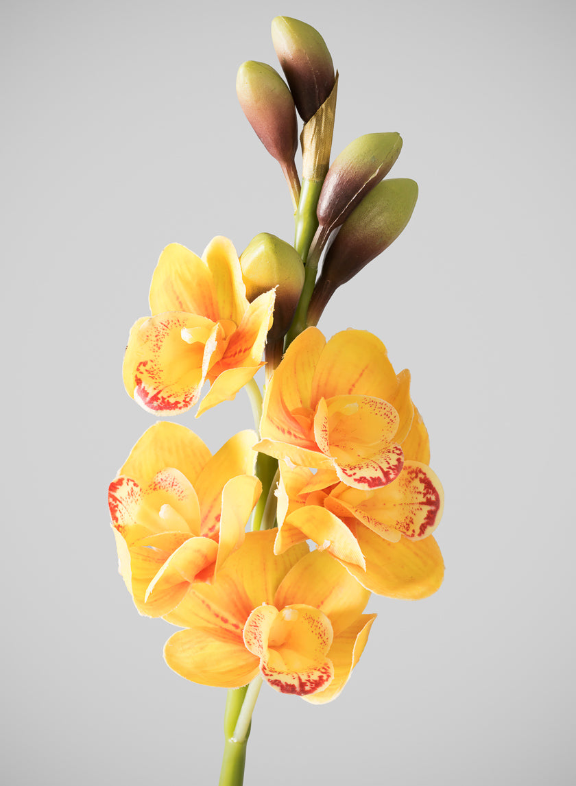 23in Long Real Touch Real Look Cymbidium Orchid Stem, Burnt Yellow