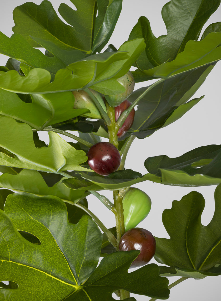 36in Real Touch Real Look Fig Tree in Cement Pot