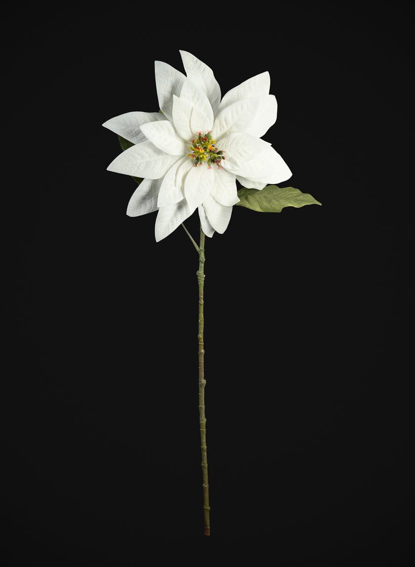 29in Real Touch Real Look White Poinsettia Stem