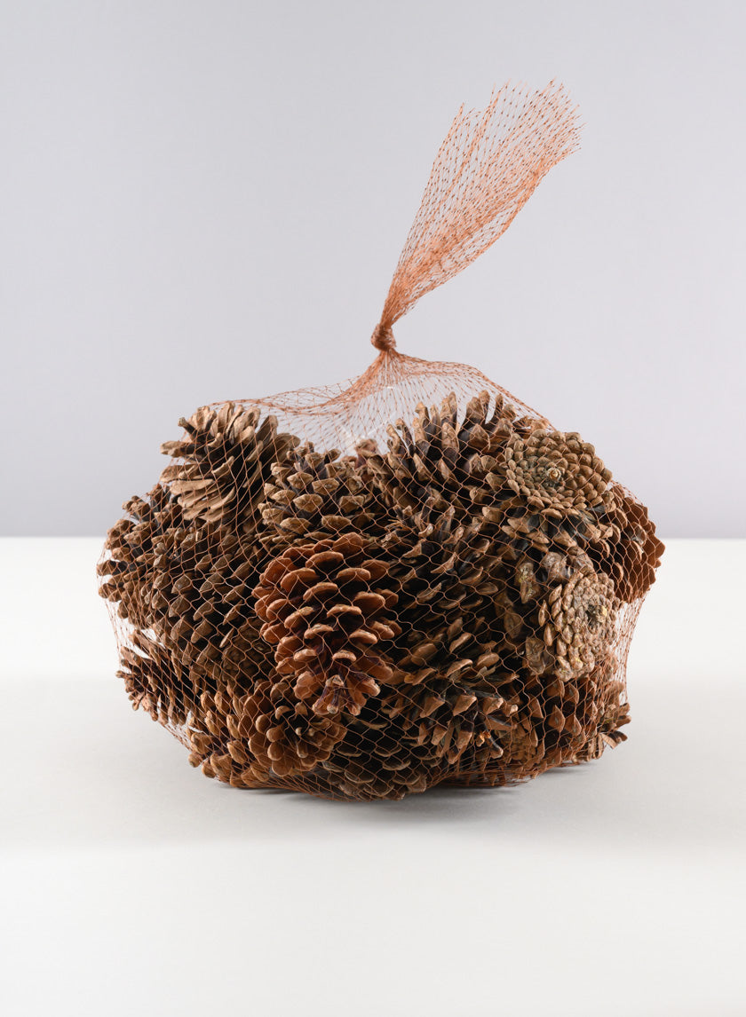 500G Small Natural Pinecones in Net Bag Decor Jamali-garden