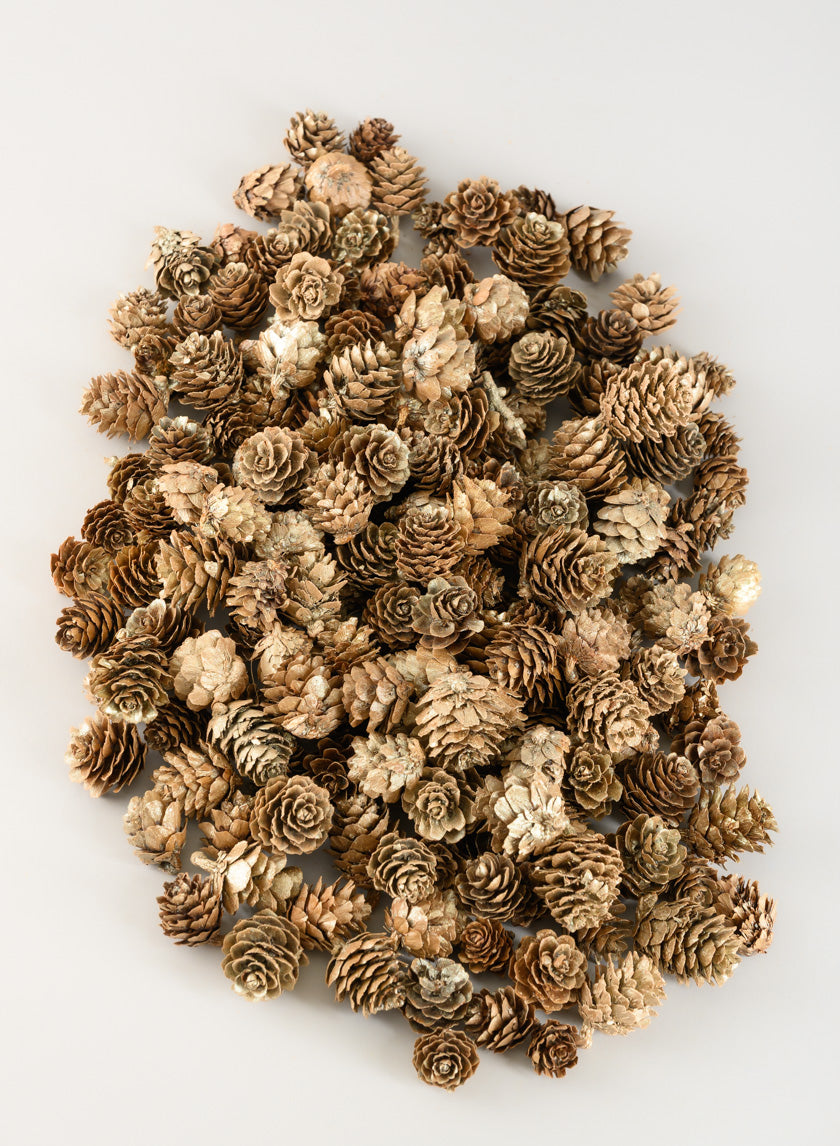 250G Champagne Mini Pinecones in Net Bag Decor Jamali-garden