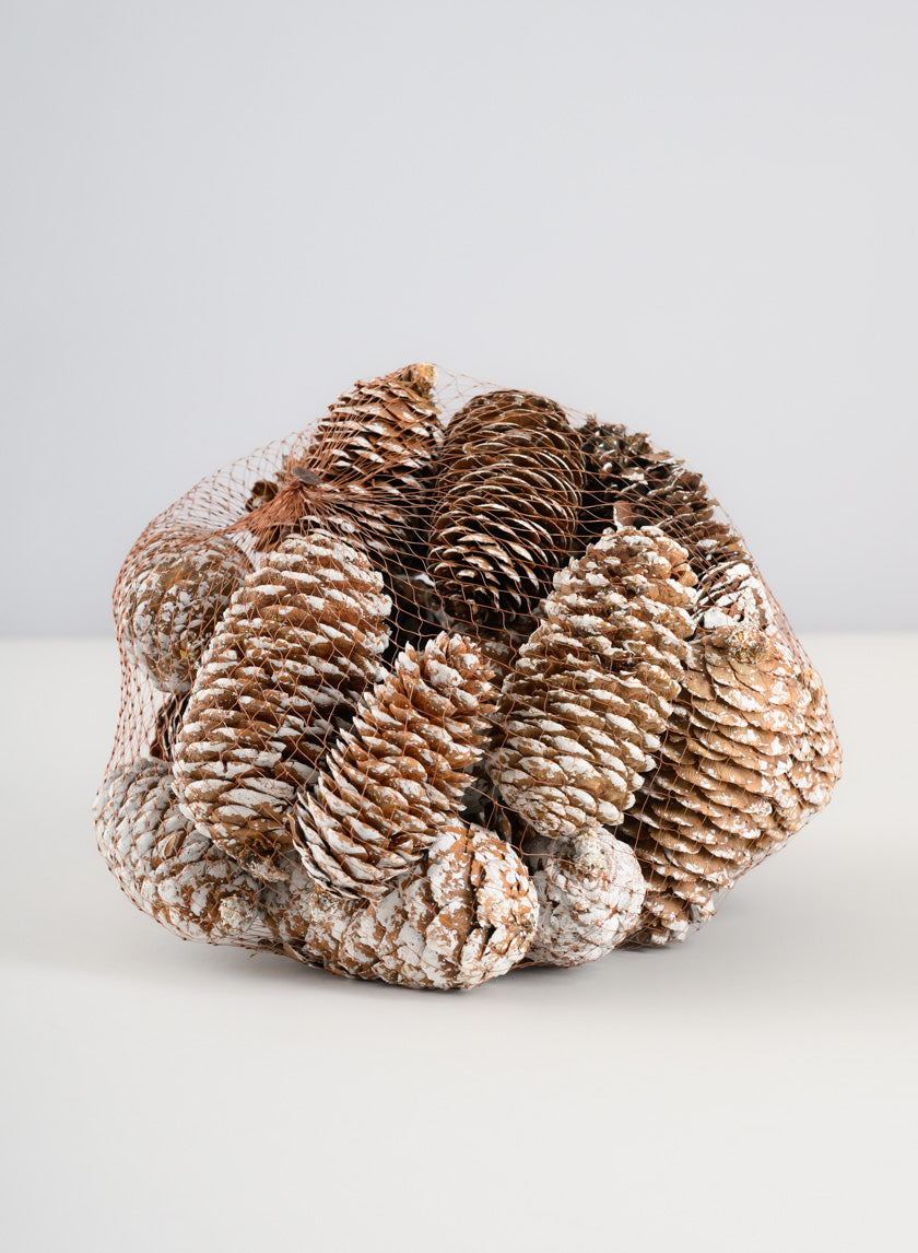 300G White Tip Long Pinecones in Net Bag Decor Jamali-garden