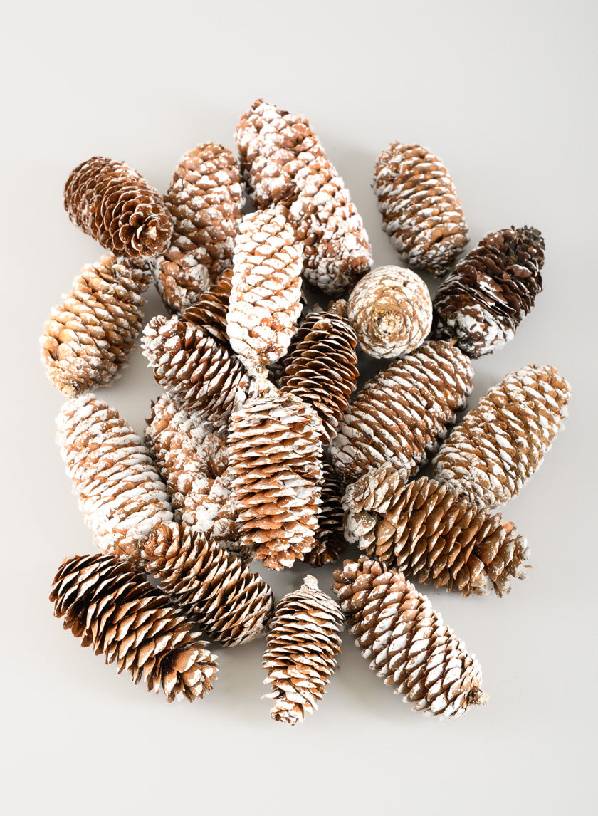300G White Tip Long Pinecones in Net Bag Decor Jamali-garden