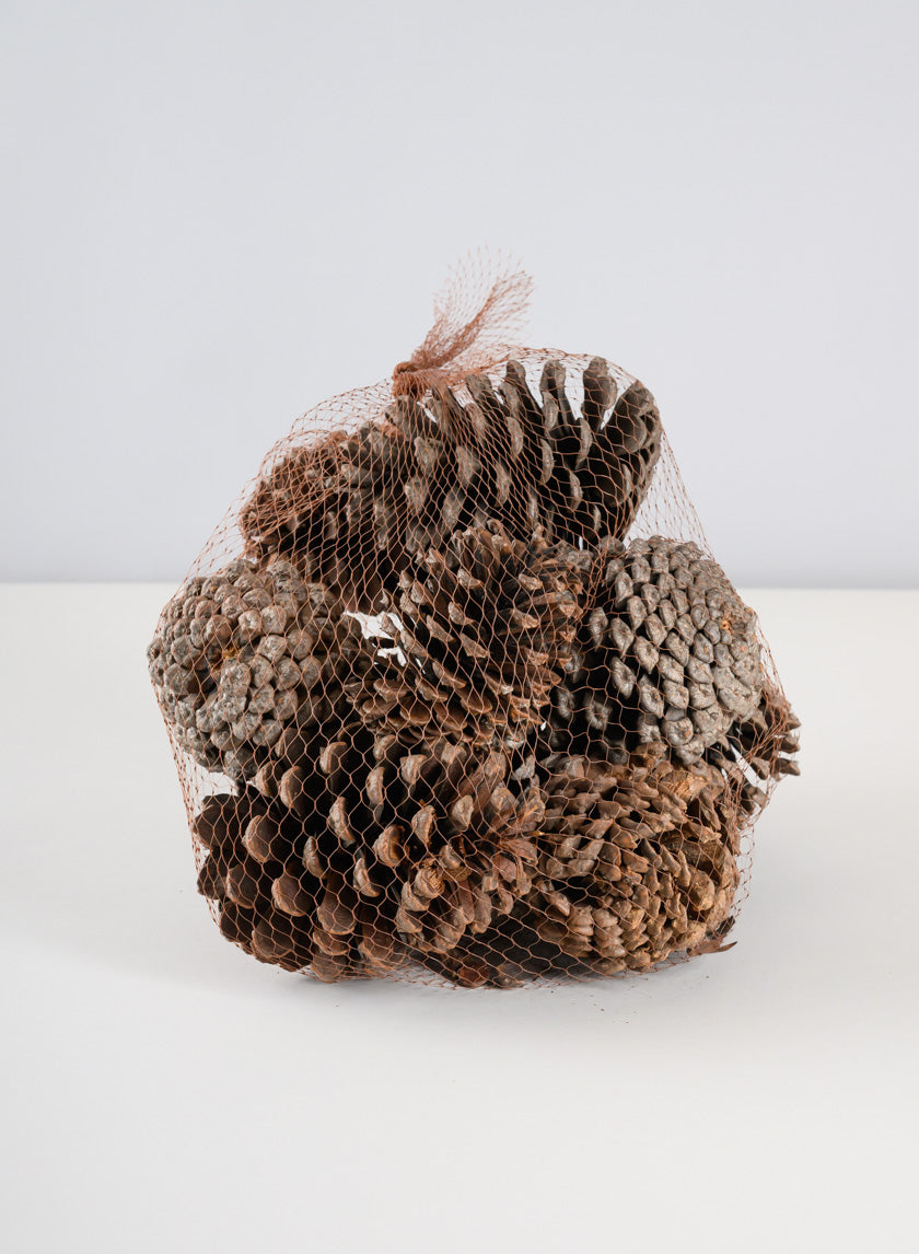 300G Sugar Pinecones in Net Bag Decor Jamali-garden