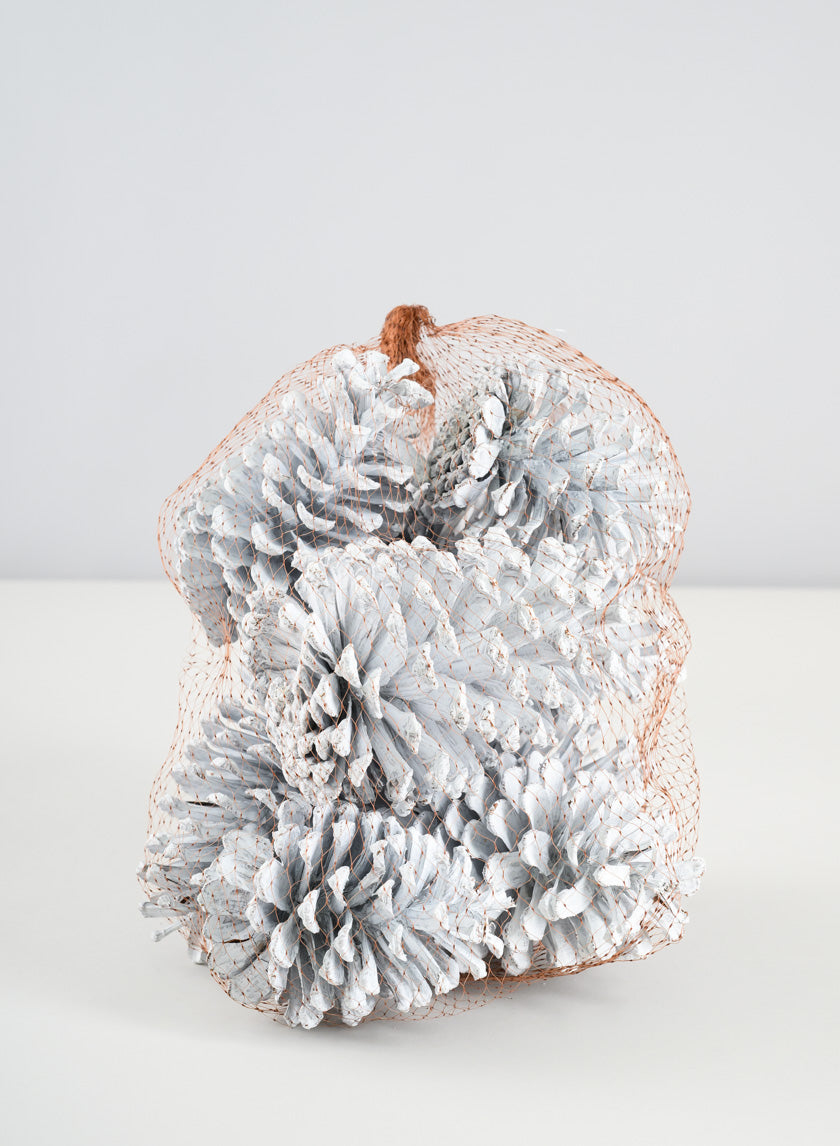 300G White Wash Pinecones In a Net Bag Decor Jamali-garden
