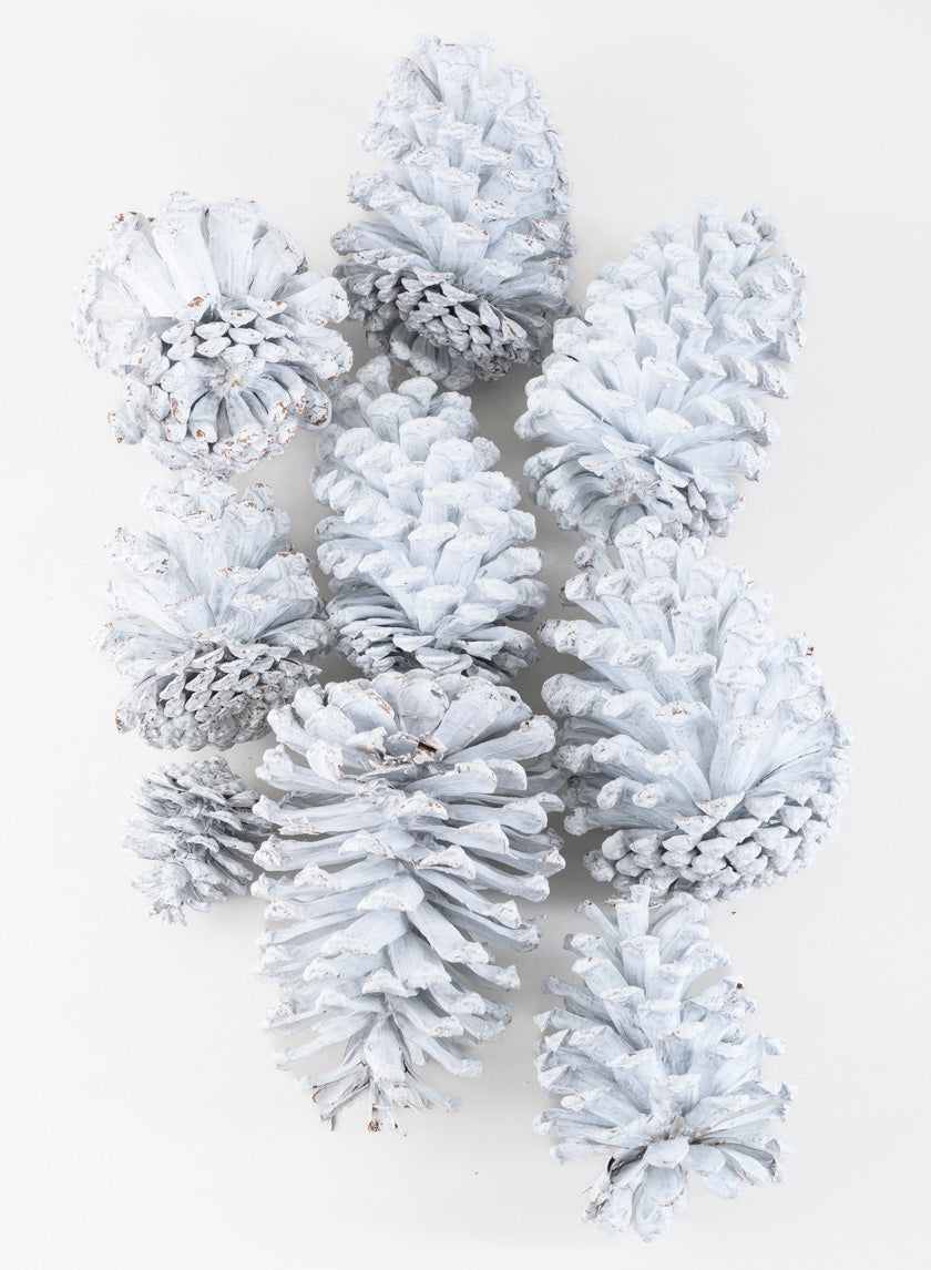 300G White Wash Pinecones In a Net Bag Decor Jamali-garden