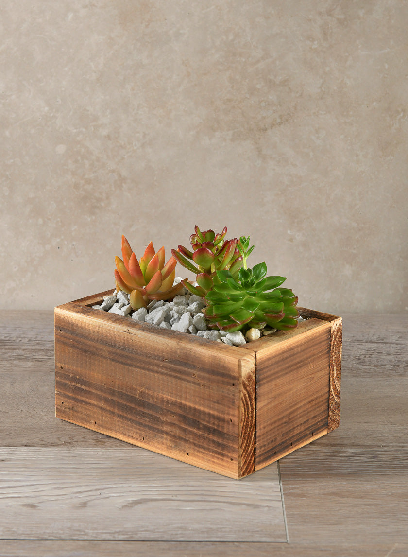 7in Long Burnt Wood Box, Mini Decor Jamali-garden