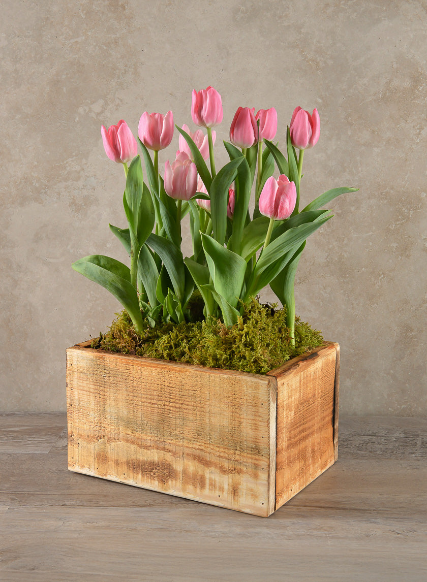 10in Long Raw Wood Deep Flower Box Decor Jamali-garden