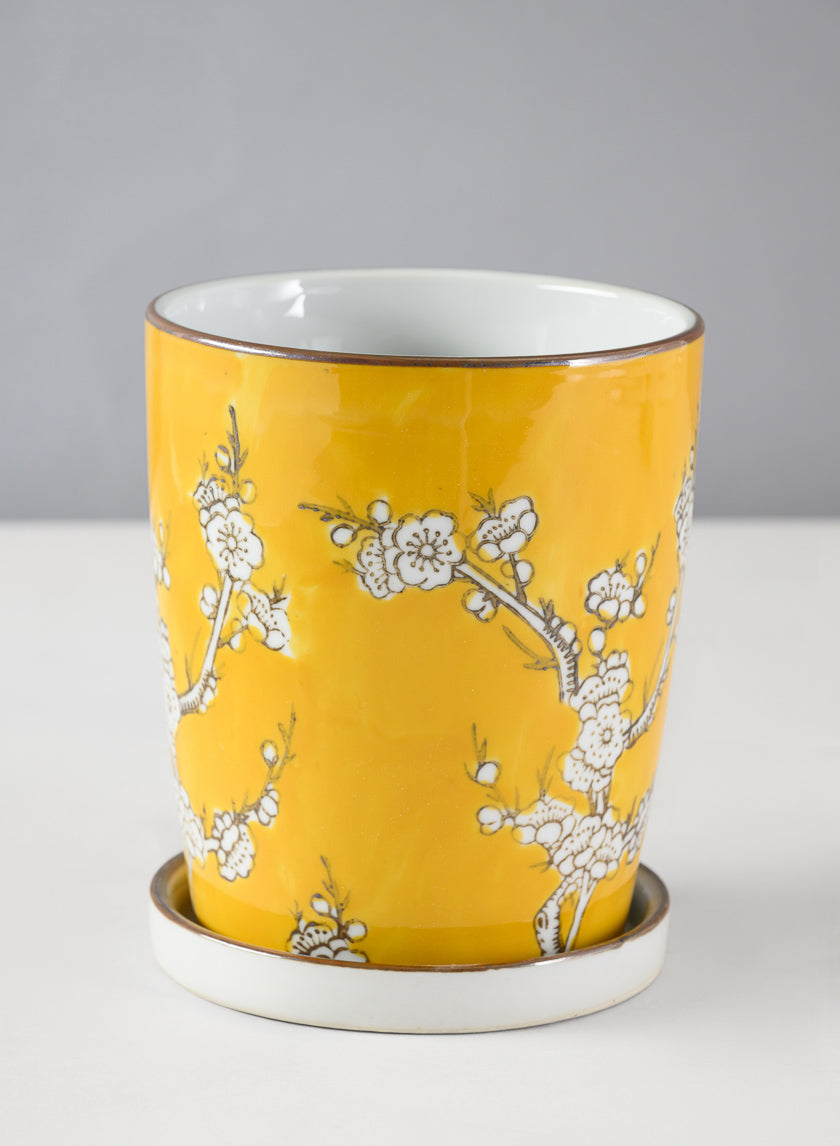 6in Tall Ming Safron Ceramic Pot with Saucer Decor Jamali-garden