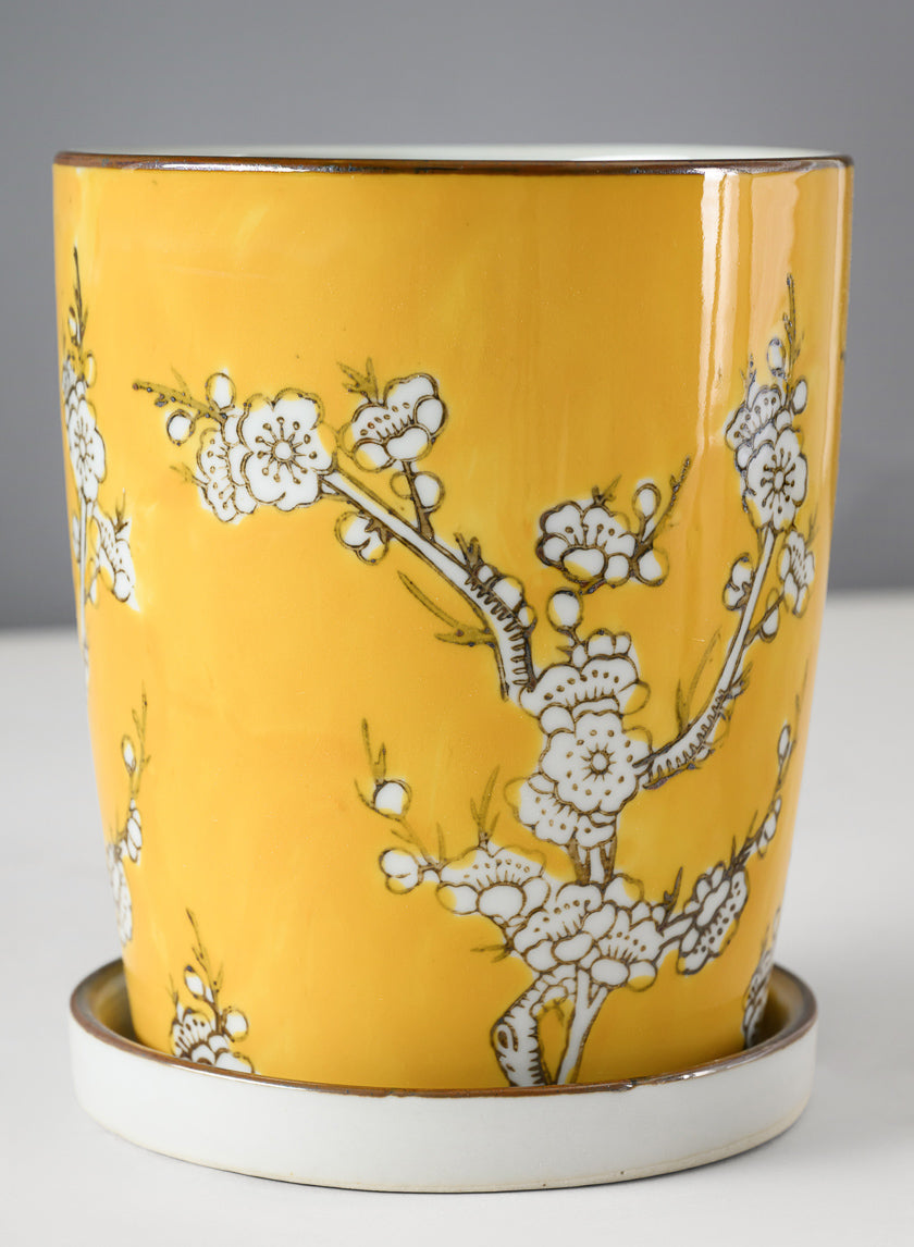 6in Tall Ming Safron Ceramic Pot with Saucer Decor Jamali-garden