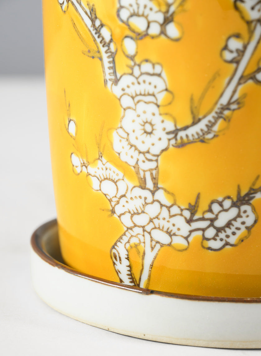 6in Tall Ming Safron Ceramic Pot with Saucer Decor Jamali-garden