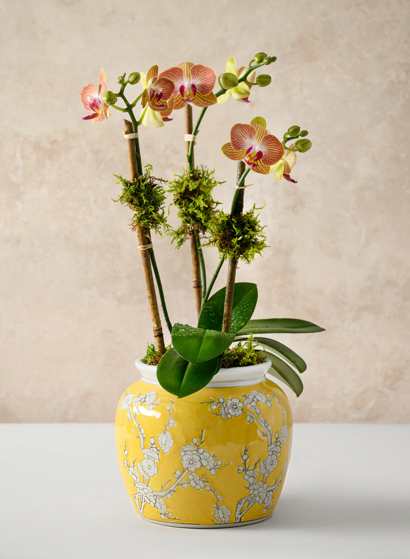 6in Tall Ming Safron Bell Ceramic Vase Decor Jamali-garden