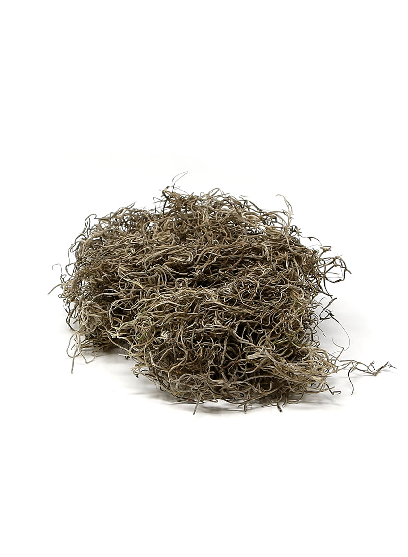 Super Moss Preserved Natural Spanish Moss Decor Jamali-garden