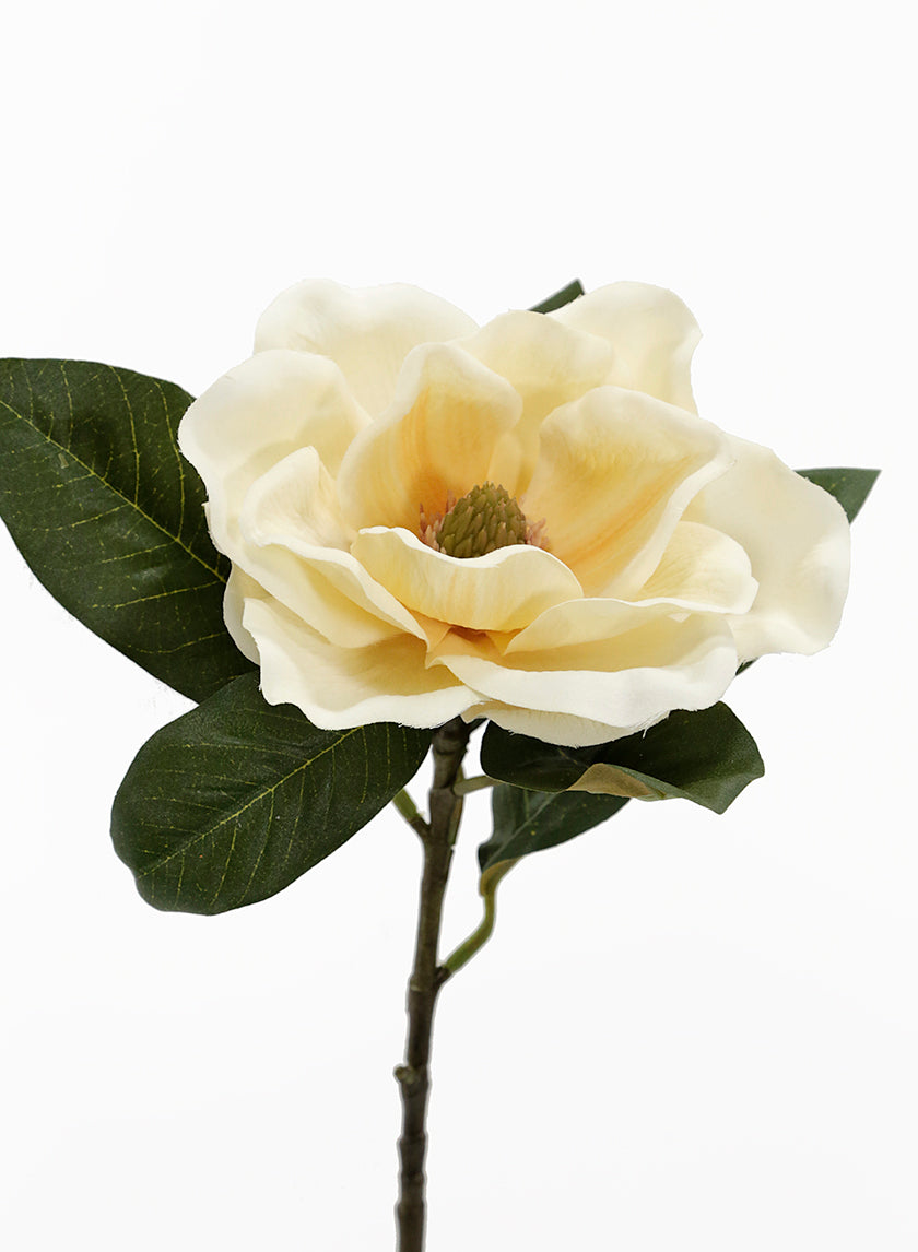 28in Long Antique Yellow Magnolia Decor Jamali-garden