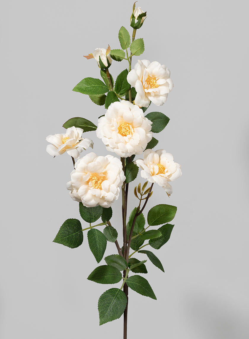 28in Long Cream Icelandic Rose Spray Decor Jamali-garden