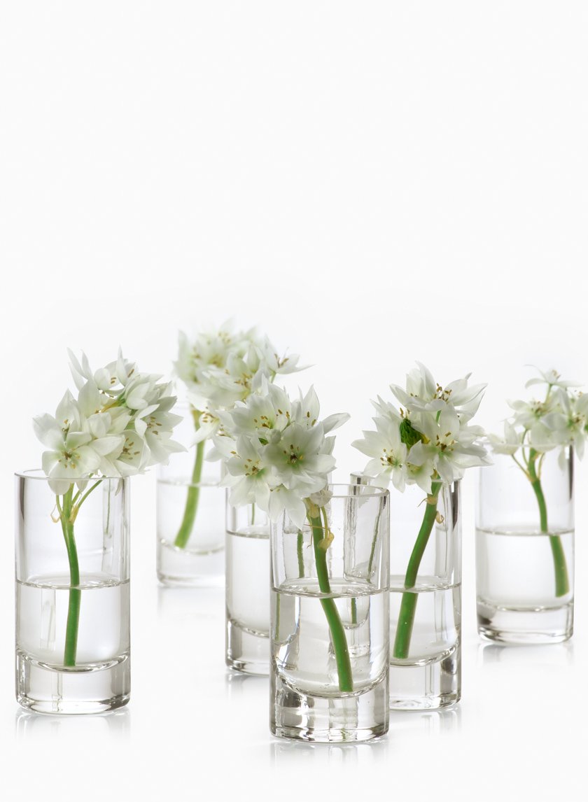4in Tall Clear Glass Cylinder Decor Jamali-garden