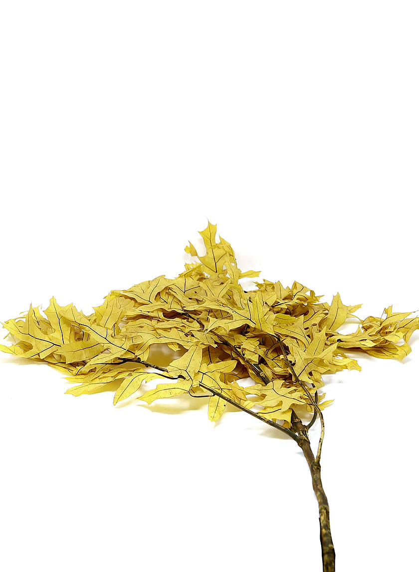 Transparent Yellow Oak Leaves, 1.0 lbs. Decor Jamali-garden